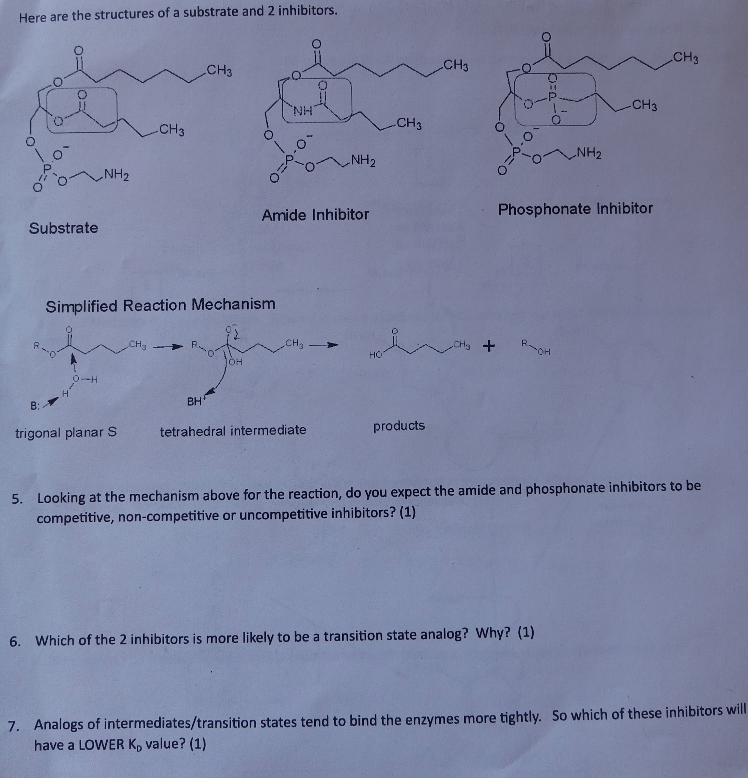 Solved Here are the structures of a substrate and 2 | Chegg.com