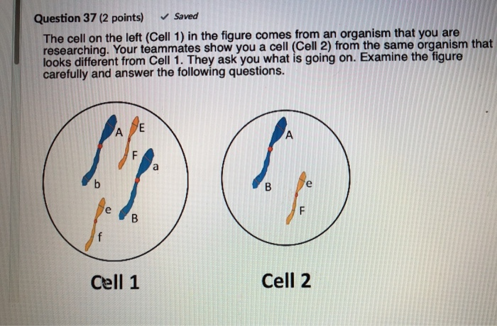 Solved The cell on the left in the figure comes from an | Chegg.com