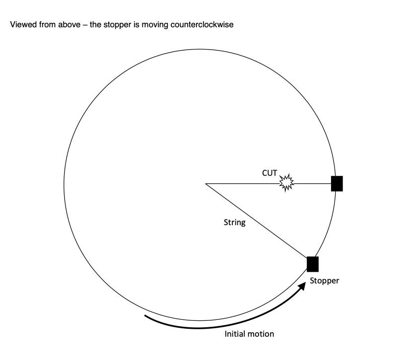 Solved Any object moving in a circle experiences a force | Chegg.com