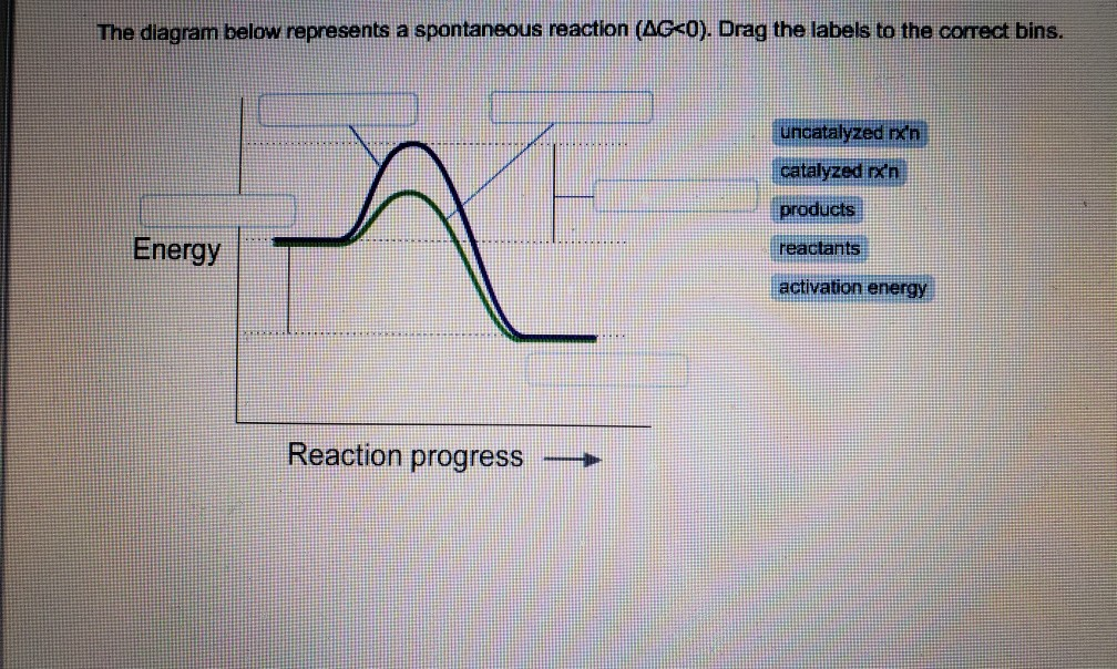 The Diagram Below Represents A Spontaneous Reaction Dg Wiring Diagram ...