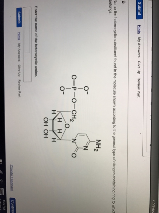 Solved Name the heterocyclic substituent found in the | Chegg.com