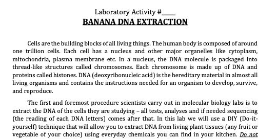 fruit-dna-extraction-lab-report-dna-extraction-lab-report-sample-of-essays-2022-11-03