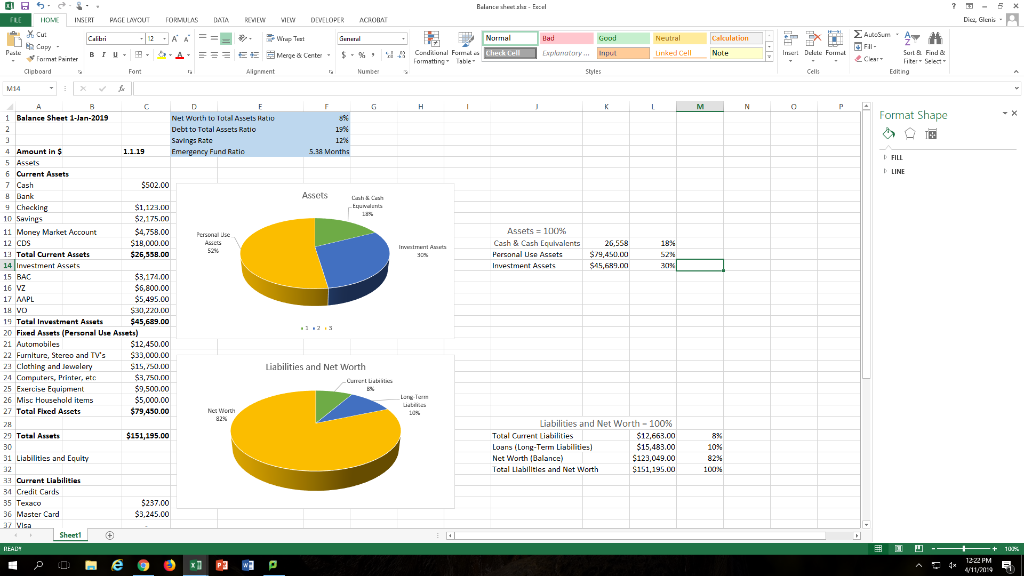 Below is the Balance sheet and the Pie Charts, the
