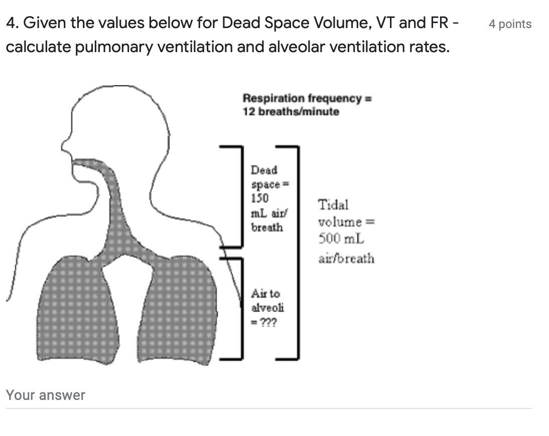 anatomic dead space vs alveolar dead space