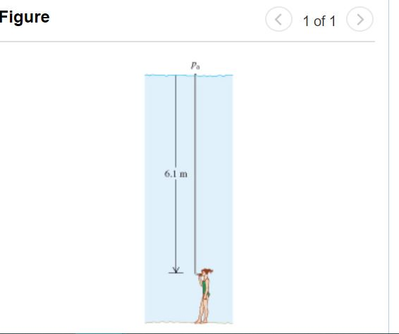 Solved There is a maximum depth at which a diver can breathe | Chegg.com