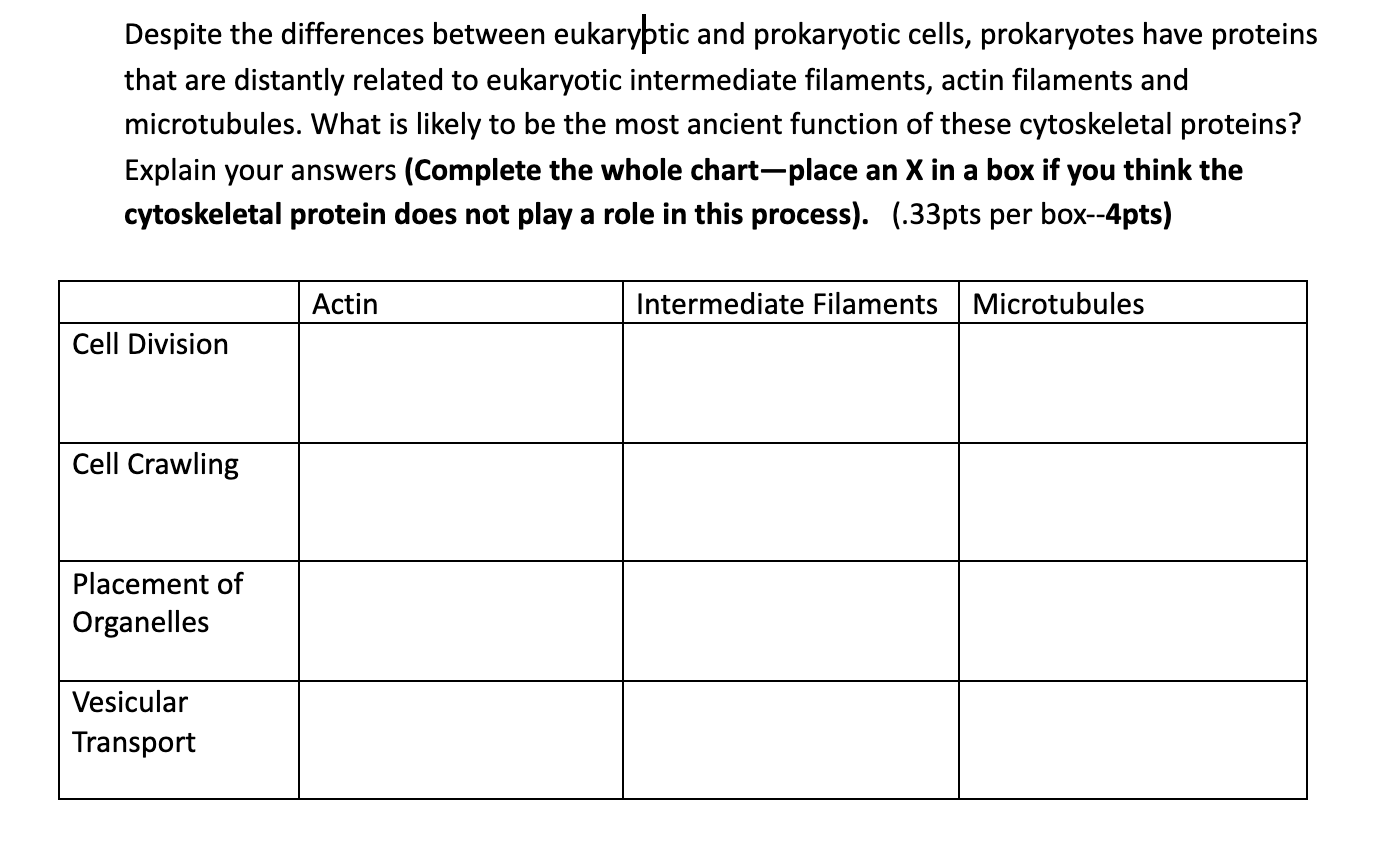 Solved Despite the differences between eukaryptic and | Chegg.com