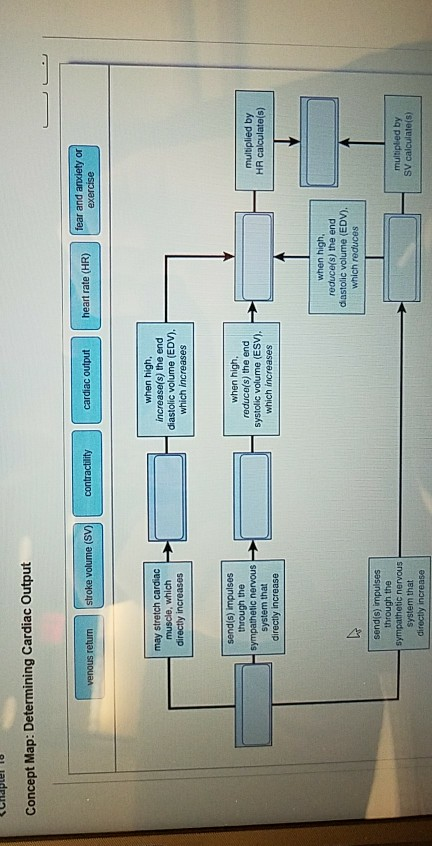 Cardiac Output Concept Map   Image 