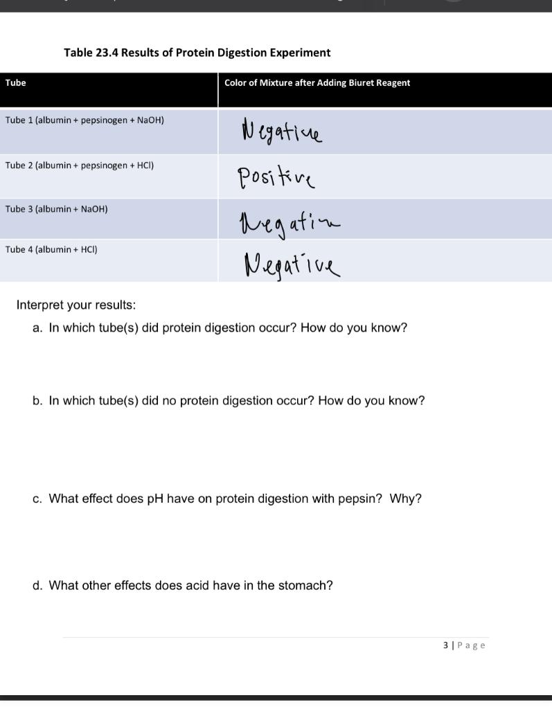 Solved Table 23.4 Results of Protein Digestion Experiment