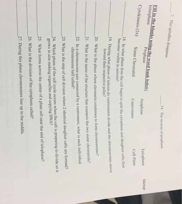 Solved 7. The spindles disappear. 14. The reverse of