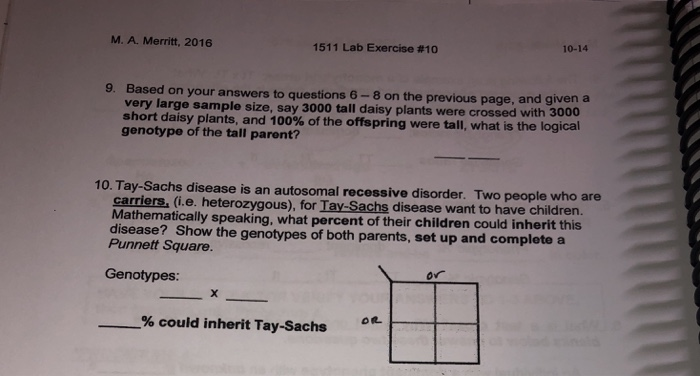 Solved PROCEDURE 4 Solve The Genetics Problems Below. For | Chegg.com