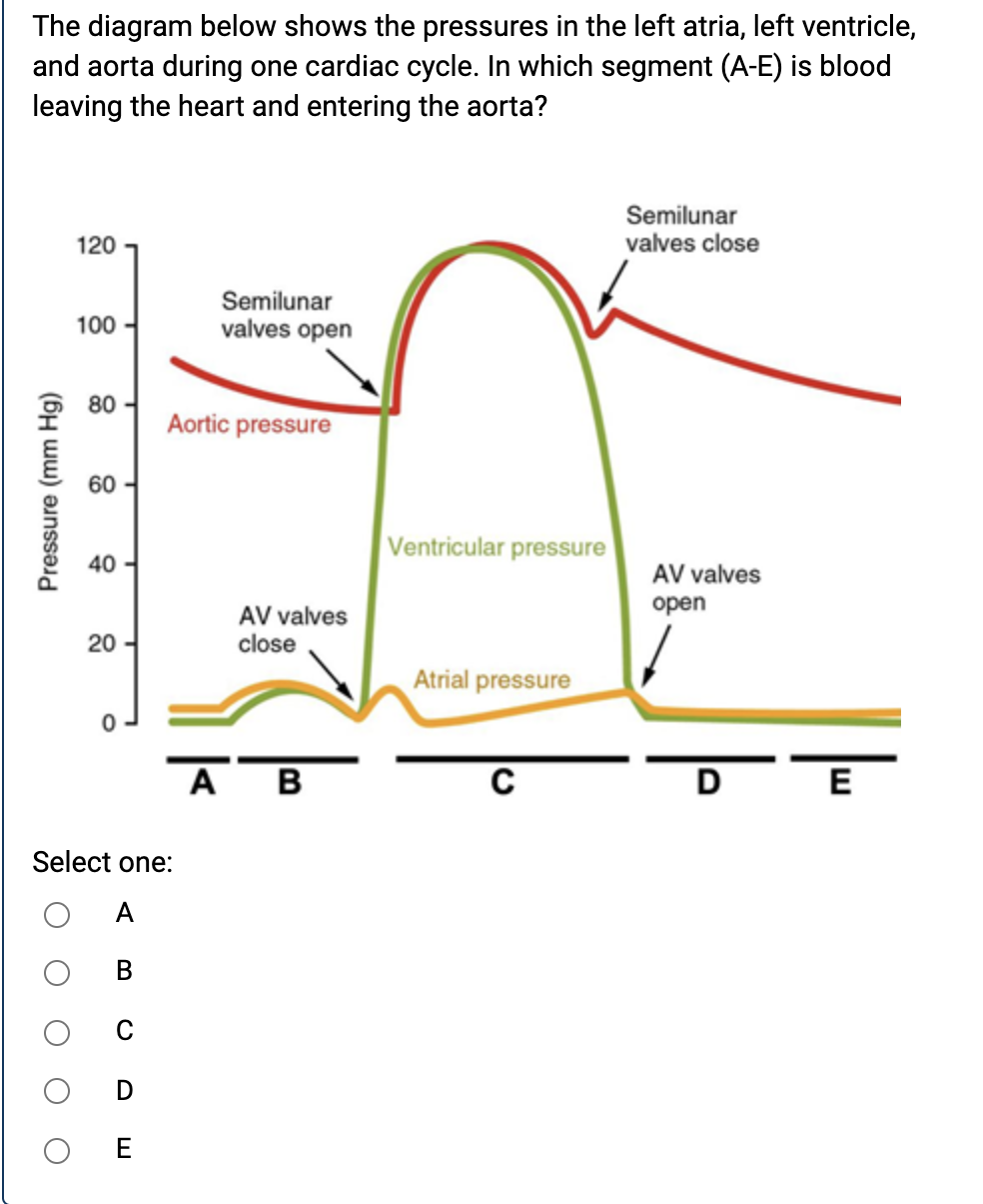 Solved The Diagram Below Shows The Pressures In The Left | Chegg.com