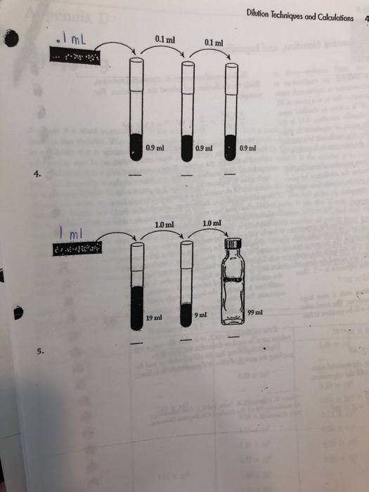 Solved Dilution Techniques and Calculations* Bacteria, under