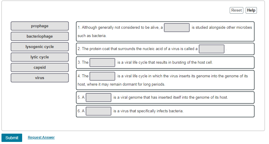 Solved Drag the terms on the left to the appropriate blanks | Chegg.com