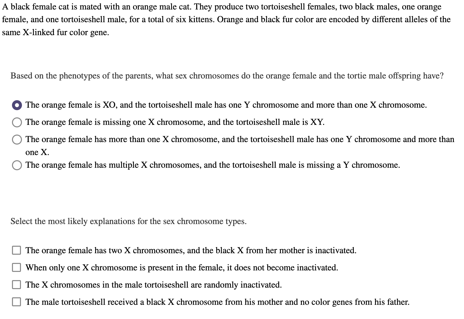 Solved A black female cat is mated with an orange male cat. | Chegg.com