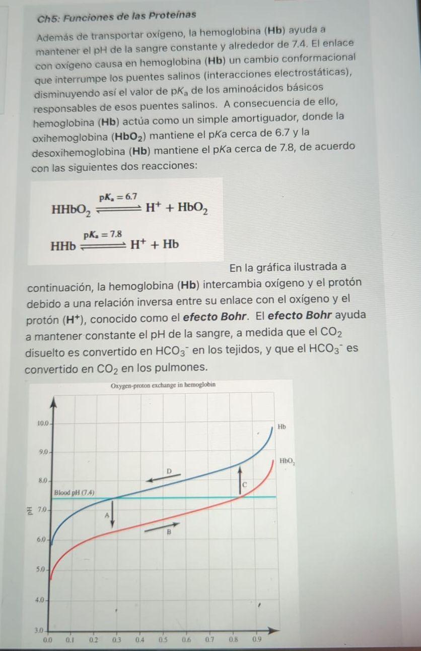 Ch5: Funciones de las Proteinas Además de transportar oxigeno, la hemoglobina (Hb) ayuda a mantener el \( \mathrm{pH} \) de l