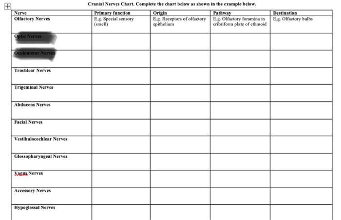 Solved Cranial Nerves Chart. Complete the chart below as | Chegg.com