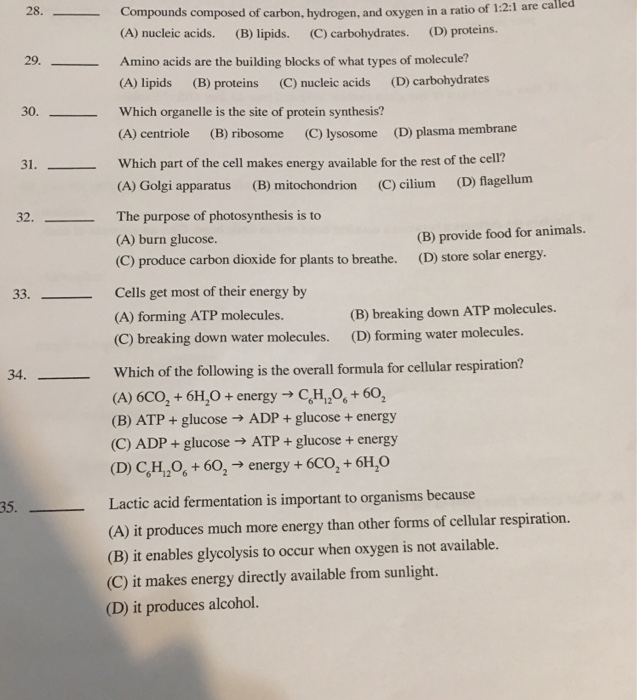 what water insoluble biomolecule is composed of carbon hydrogen and oxygen