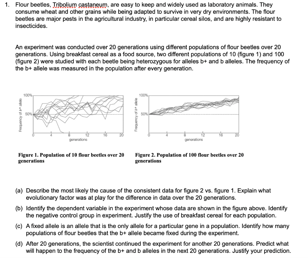Solved 1. Flour beetles, Tribolium castaneum, are easy to