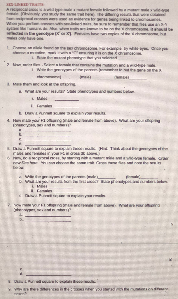 Solved Sex Linked Traits A Reciprocal Cross Is A Wild Type 6905