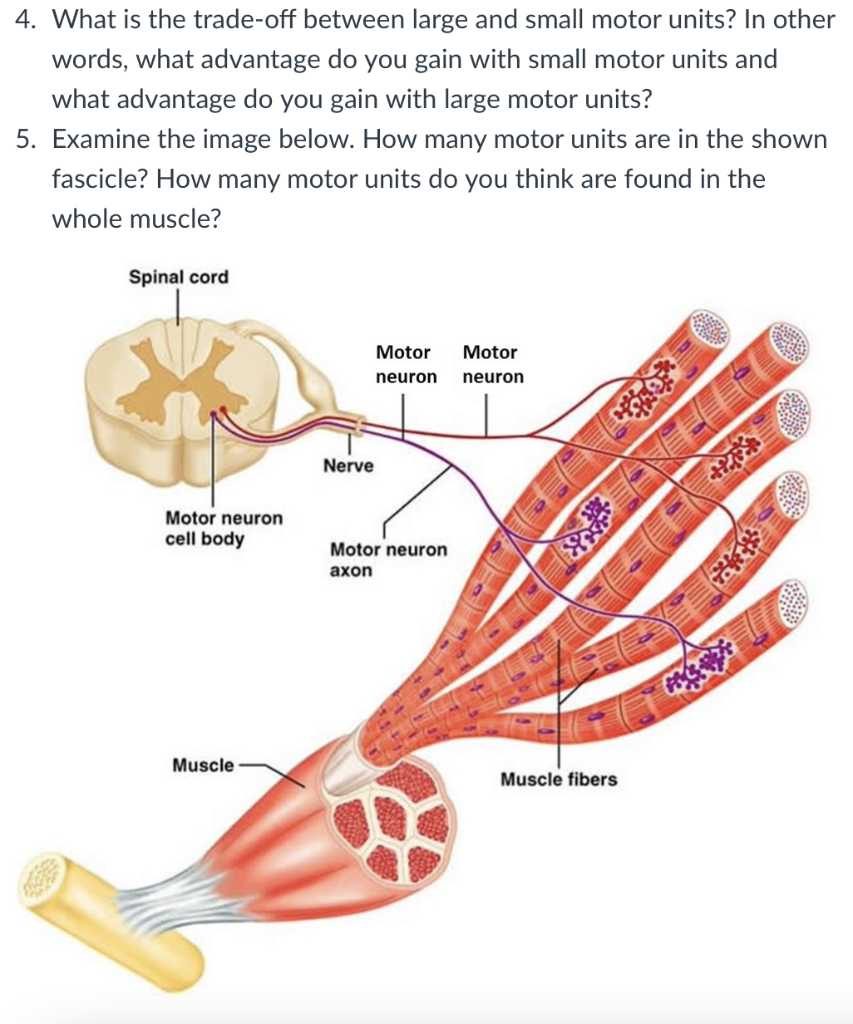 Solved 4. What is the tradeoff between large and small