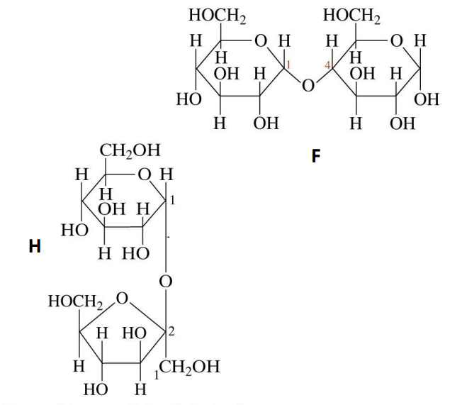 Solved Name the sugars in F and H: Hint: sucrose, glucose | Chegg.com