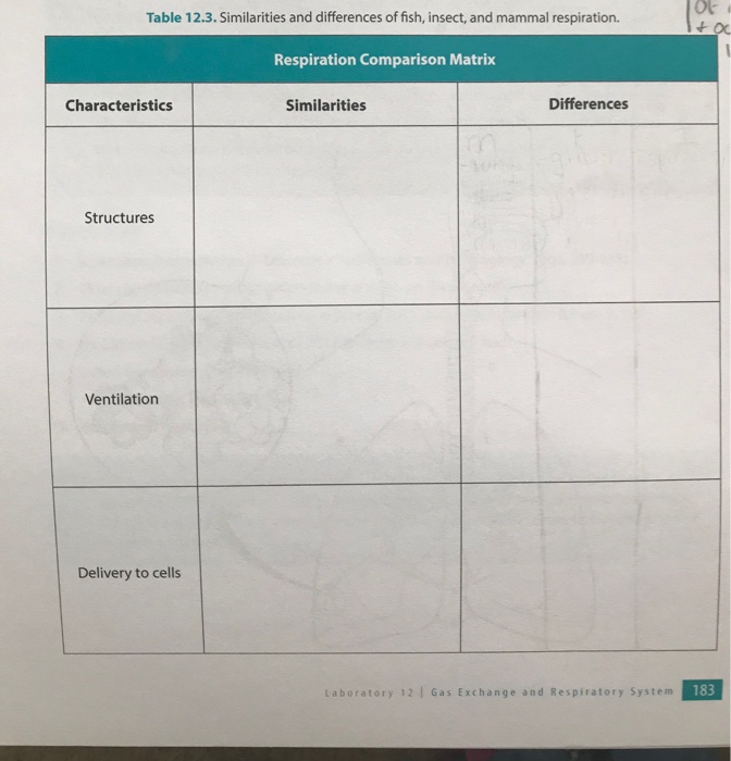 comparing-similarities-and-differences-similarities-and-differences