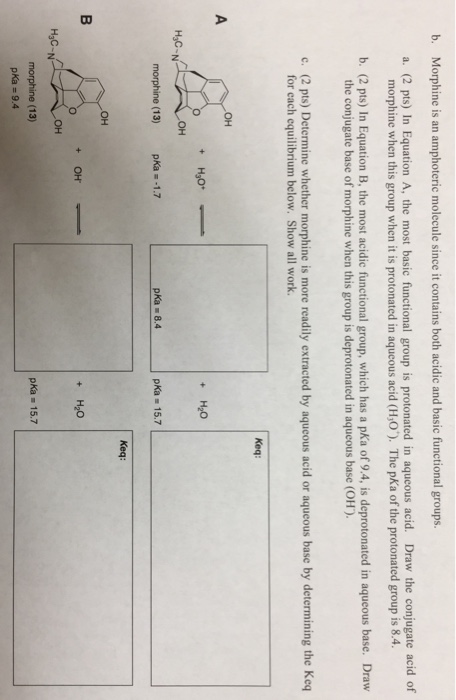 Solved B. Morphine Is An Amphoteric Molecule Since It | Chegg.com