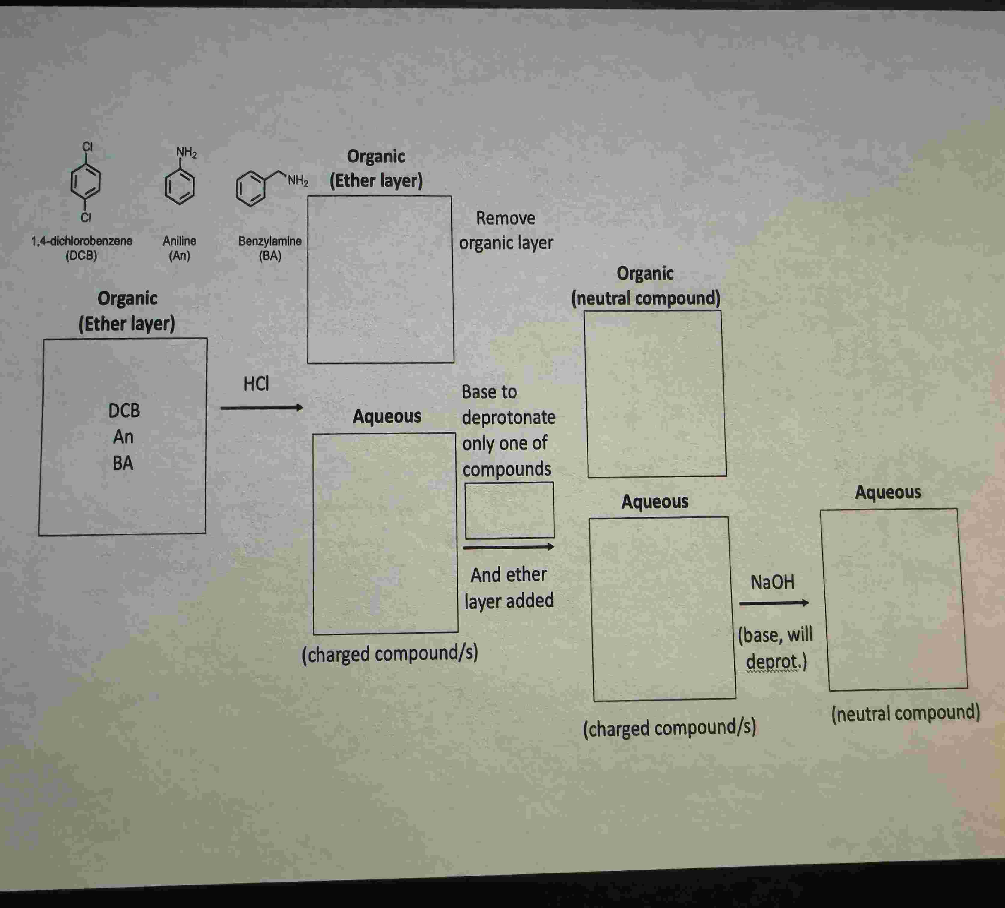 Solved Based on ﻿your above answers, complete the chart on | Chegg.com