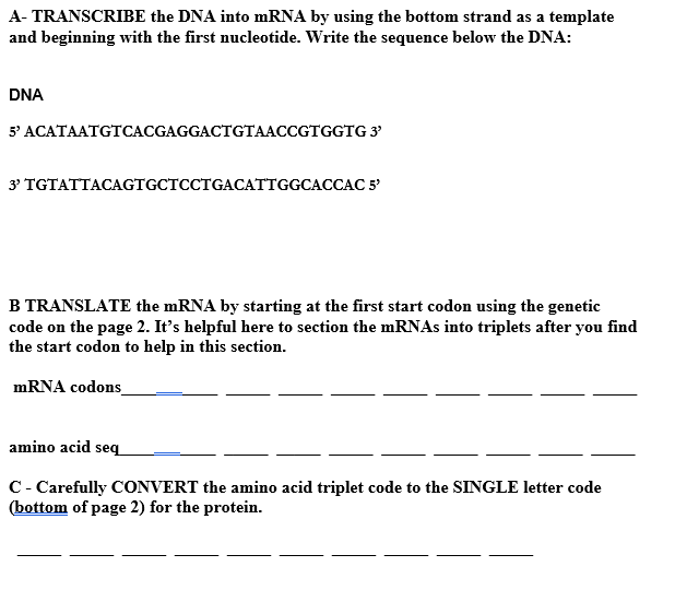 Solved Use the original Txn Tln Ex procedure you learned in | Chegg.com