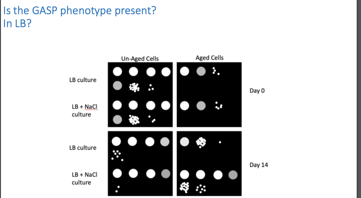 The 2025 gasp questions