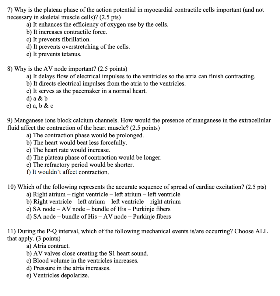 What Is The Plateau Phase Of Action Potential