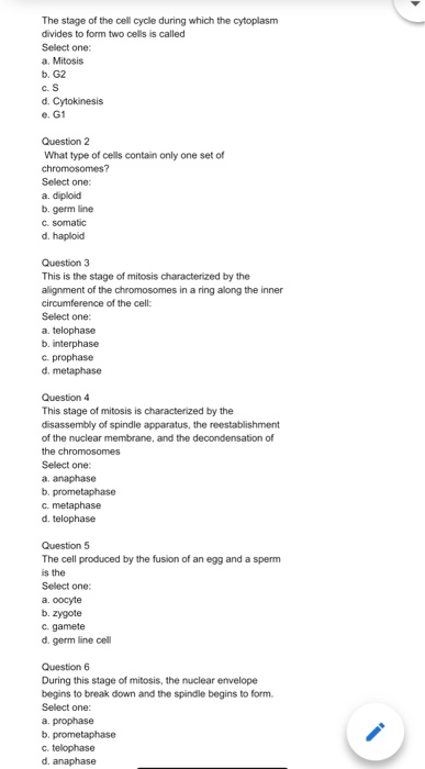 Solved The stage of the cell cycle during which the | Chegg.com