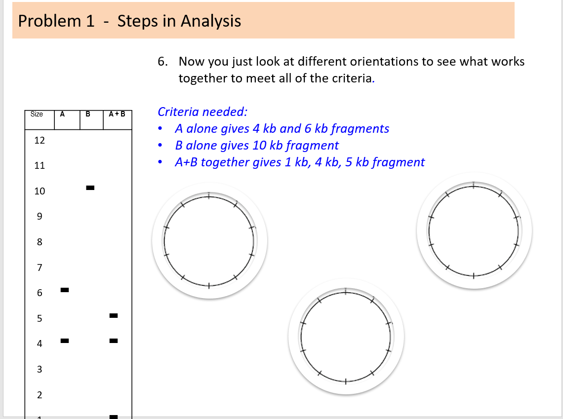 Solved Problem 1 - Steps in Analysis 6. Now you just look at | Chegg.com