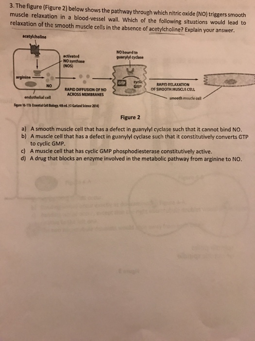 Solved The figure (Figure 2) below shows the pathway through | Chegg.com