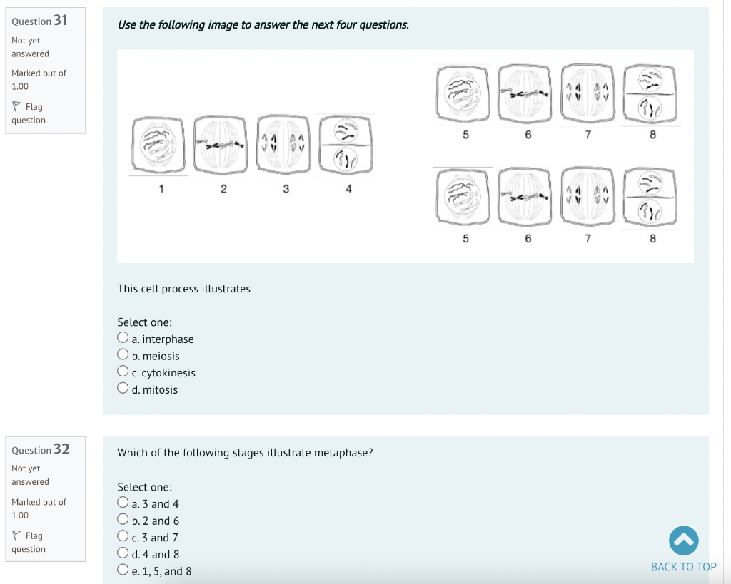 Solved Question 31 Use the following image to answer the | Chegg.com