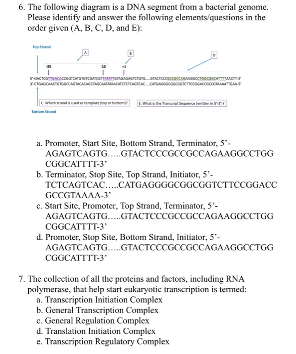 Identify The The Following Elements On A Diagram Of Translation