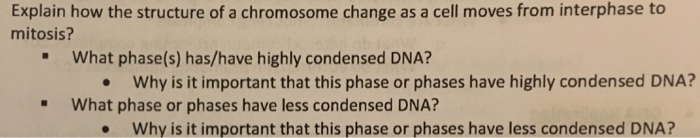 Solved Explain how the structure of a chromosome change as a | Chegg.com