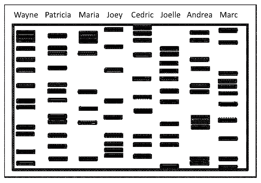 Solved Patricia Works For The Rcmp Dna Forensics Team On A