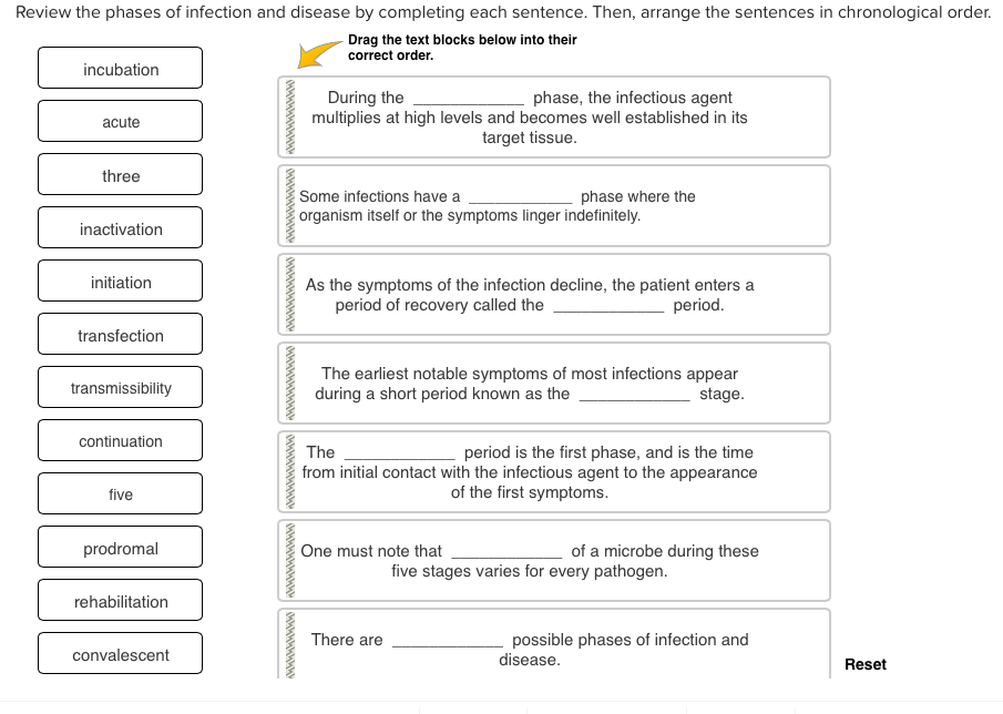 solved-review-the-phases-of-infection-and-disease-by-chegg