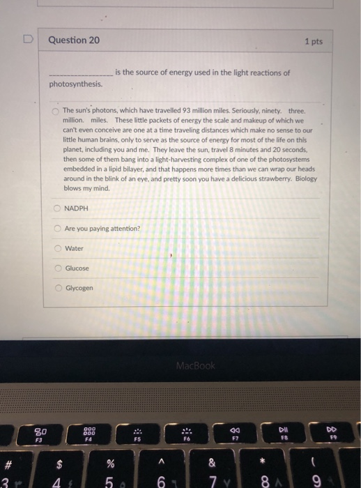 Solved 1 pts D Question 19 Which of the following key | Chegg.com