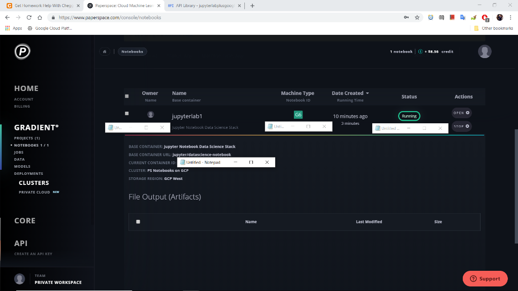 BPI AFI Library-jupyterlabplus googl x C Get Homework Help With Chequ Paperspace: Cloud Machine Lean X + https://www.paperspa