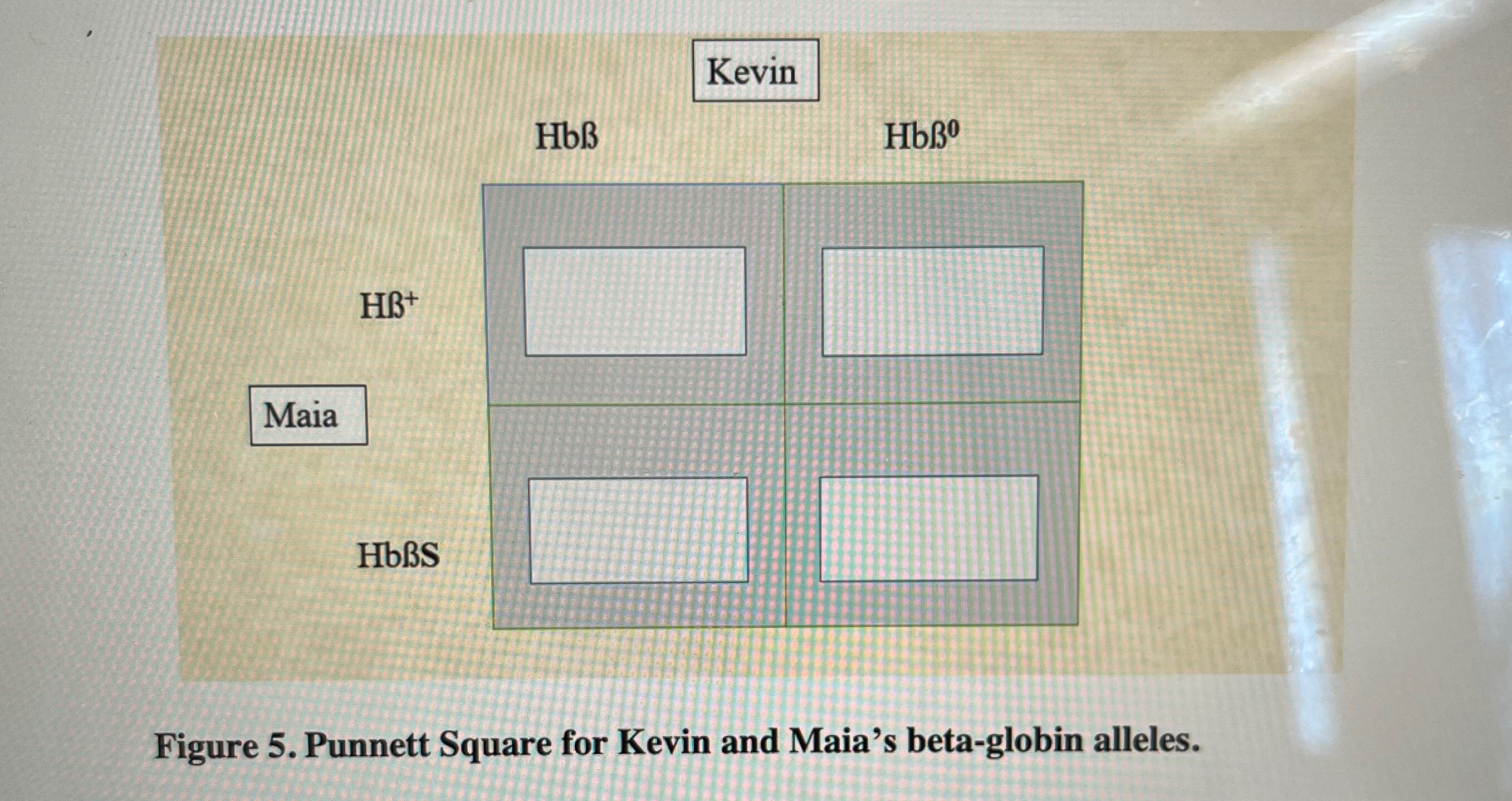 Solved Complete The Punnett Square: | Chegg.com