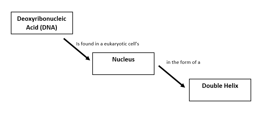 write an essay explaining why it is important to keep the promises you make