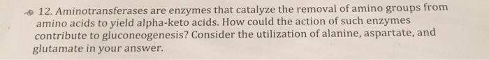 Solved ,母12. Aminotransferases are enzymes that catalyze the | Chegg.com