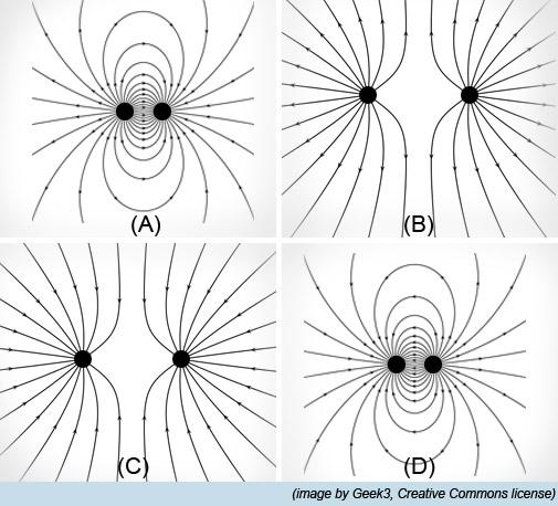 Solved Which Figure Represents The Electric Field Lines Of | Chegg.com