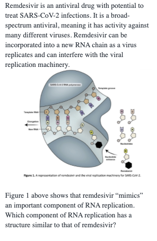 Solved Remdesivir is an antiviral drug with potential to | Chegg.com