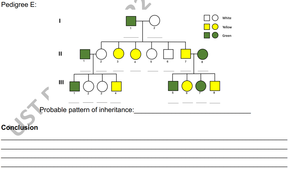 Solved Complete the necessary information in the | Chegg.com