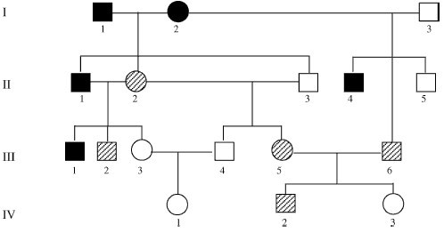 Solved The pedigree below illustrates a case of dominant | Chegg.com