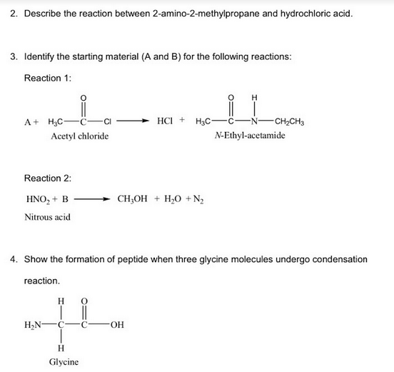 Solved 2. Describe the reaction between | Chegg.com