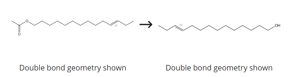 Solved Double bond geometry shown Double bond geometry | Chegg.com